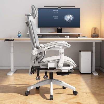 Ergonomic chair computer chair office chair 安吉人体工学椅