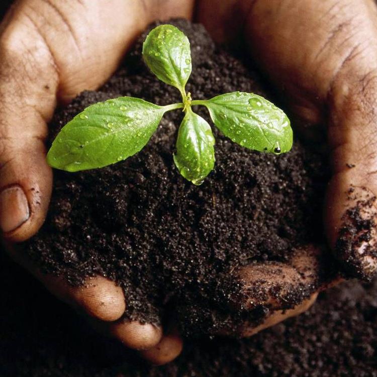 现货供应营养土种花土月季绿萝草莓通用型家用盆栽养花营养土植物