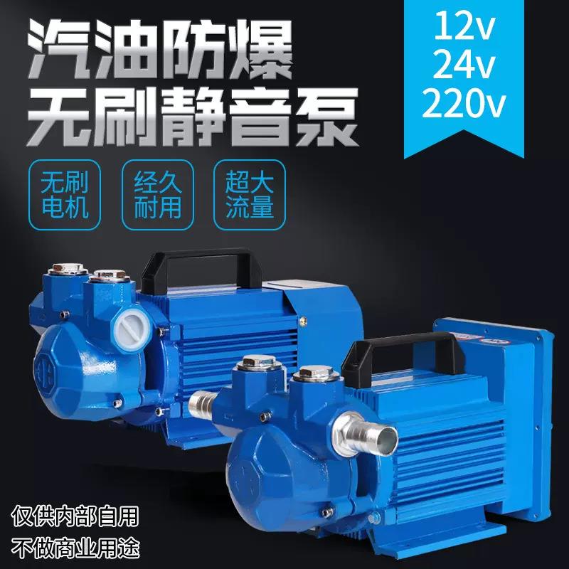 卡维特汽油防爆抽油泵12V24V220V车载加油机导油泵