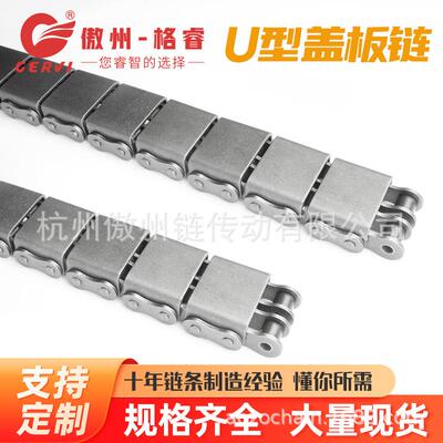 不锈钢08B-U2盖板链节距12.74分双排输送机平板链坦克链
