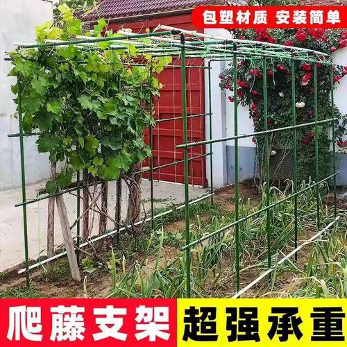 爬藤架西红柿攀爬支架户外庭院种菜支撑J杆蔬菜园架子豆角黄瓜架