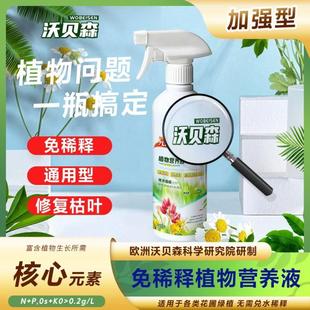 沃贝森专用营养液水培植物竹子生根液转运竹绿植治叶子发黄13