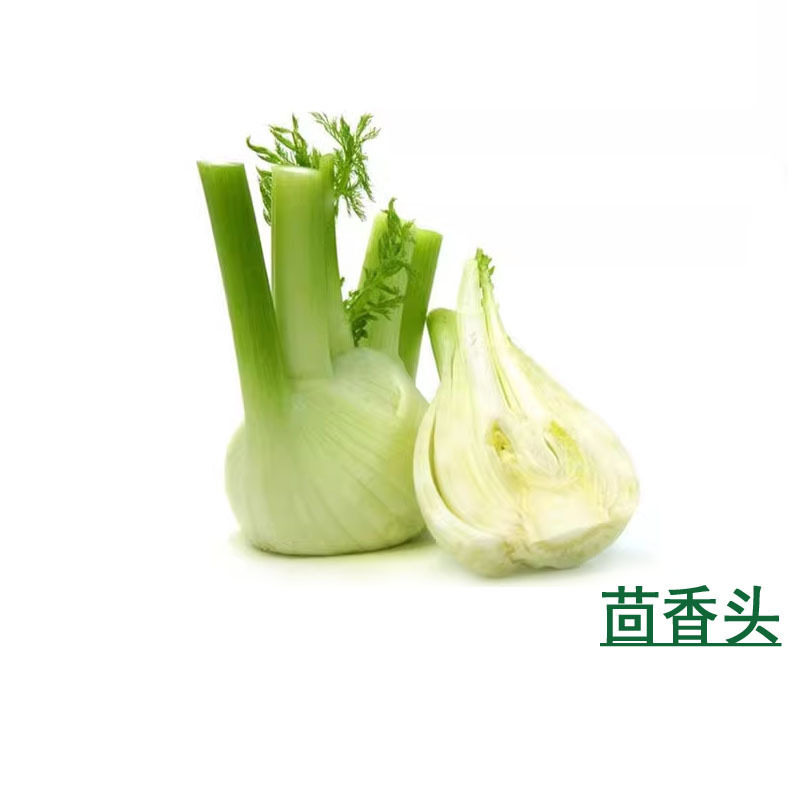 新鲜茴香头400g球茎蔬菜