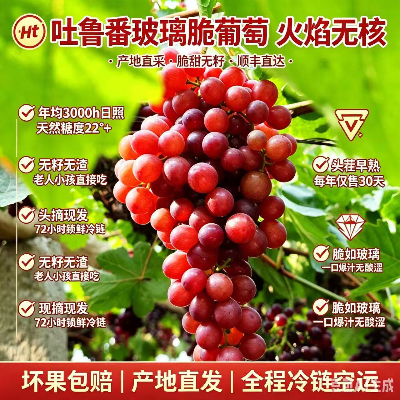 新疆吐鲁番无核玻璃里面蕴含了无穷的汁水又甜又爽产地现摘现发