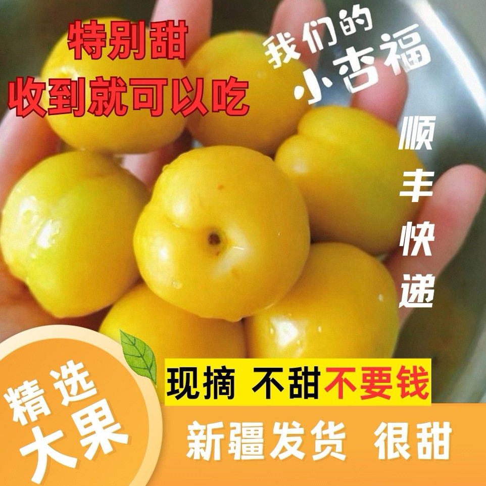 新疆小白杏轮台新鲜水果白甜杏子特产胜小红黄杏当季送礼当季孕妇