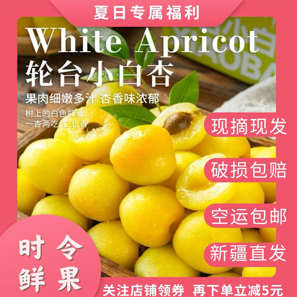 新疆小白杏轮台新鲜水果库车白杏子甜杏当季水果整箱胜小红杏顺丰