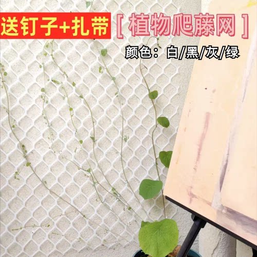 大孔塑胶网DIY植物爬藤网格网片