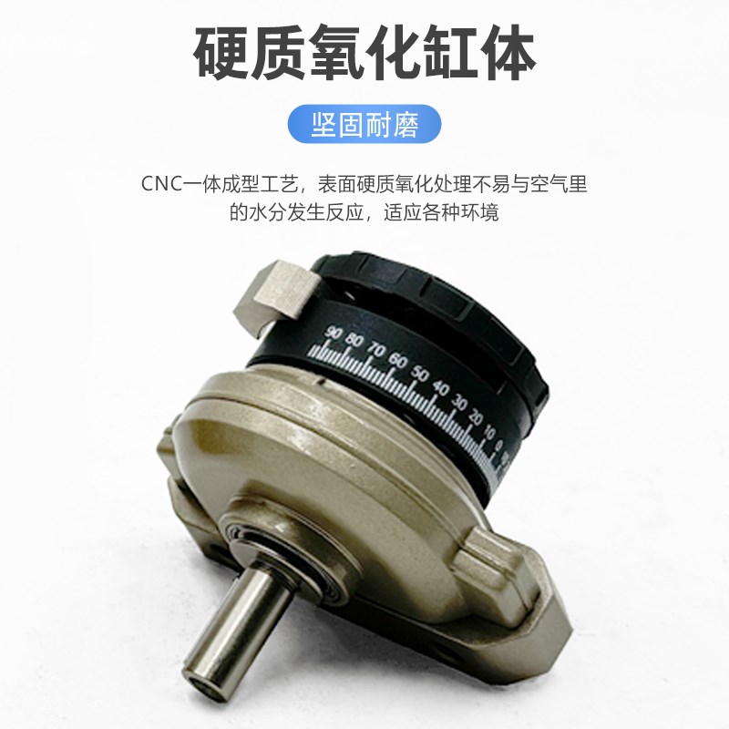 旋转气缸DSReL DSR10-12-16-25-32-40-180-P-FW摆动 DSR25-180-P