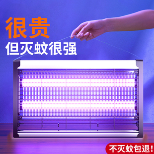 灭蚊灯灭蝇灯苍蝇捕捉器挂v墙室内家用餐厅饭店商铺驱蚊器电蚊子