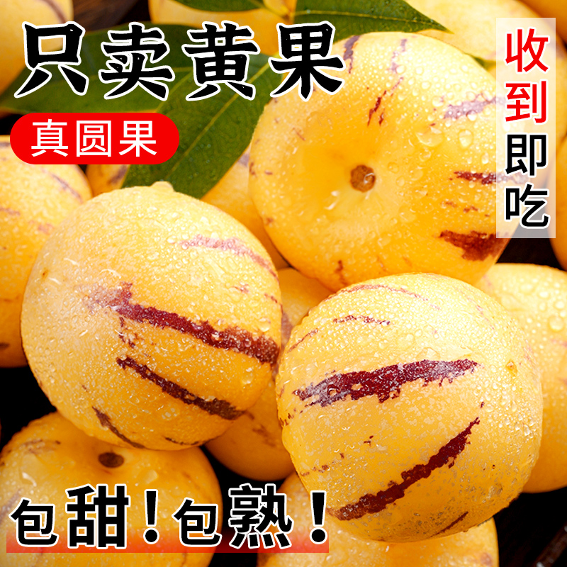 云归处圆人参果树上熟