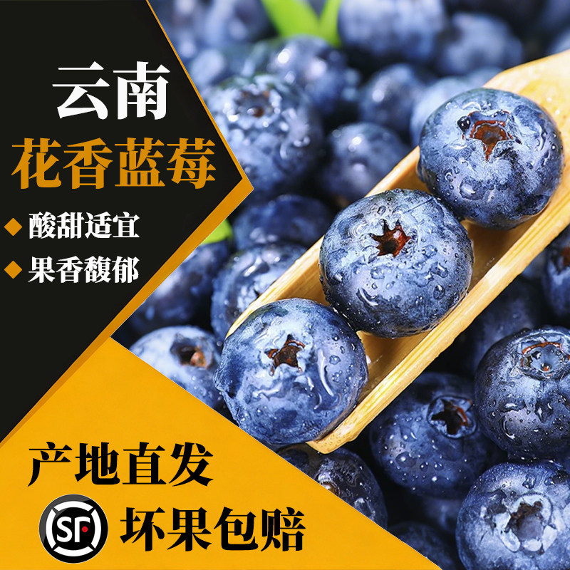 顺丰云南高山蓝莓鲜果当季怡颗蓝莓高山L25花香新鲜水果现摘整箱,水产肉类/新鲜蔬果/熟食,蓝莓,淘宝优惠券,粉丝福利购,淘宝优惠卷