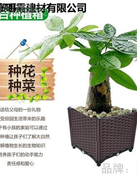 家室内花花箱阳台蔬菜种植箱特大号种菜盆YIB长料方形塑庭大花盆
