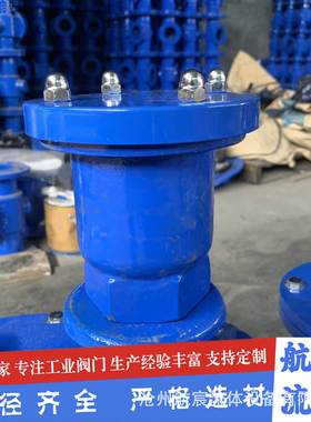 P1X丝扣排R气阀快速阀放气AVX微量丝扣排气阀1球墨91336铸铁材质