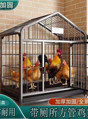 鸡笼子用大号殖笼鸡舍外鸡窝自动清OCB粪鸭笼铁养丝网阳台家户家