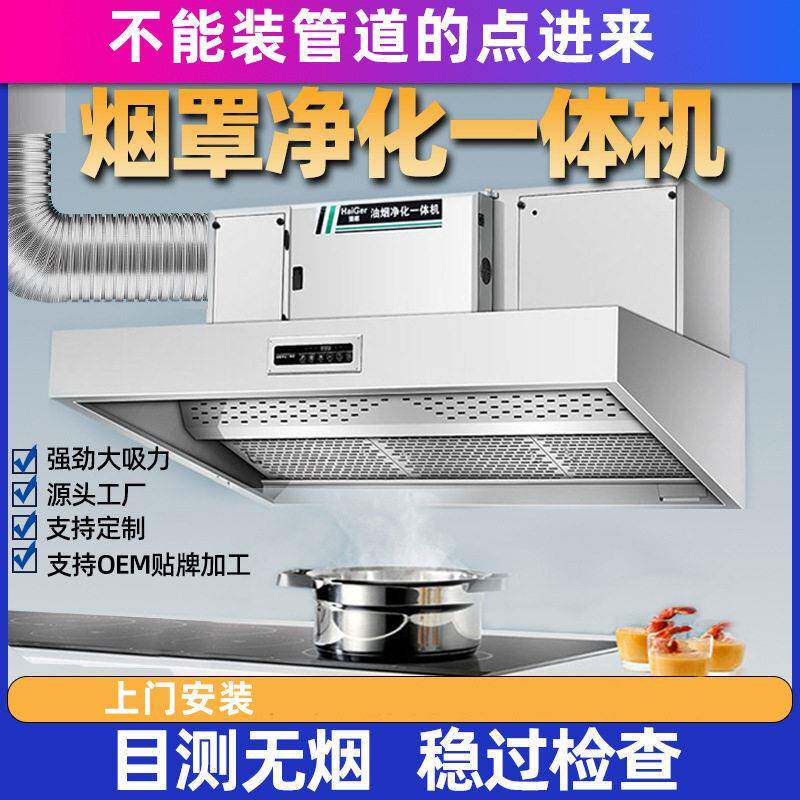 商用烧烤饭店厨房专用大吸力抽油烟机不锈钢无烟管烟罩净化一体机