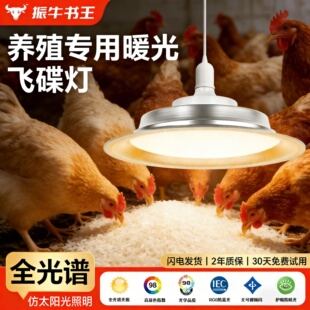 养殖补光灯专用led灯全光谱uvb补钙灯鸡鸭禽畜养殖暖黄色节能灯