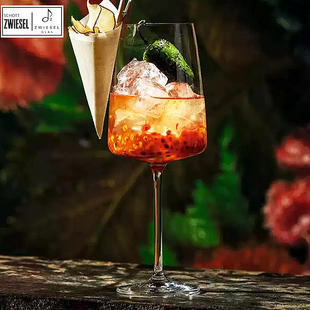 德国进口SCHOTT进口水晶玻璃高脚杯红酒杯香槟杯家用白葡萄酒杯子