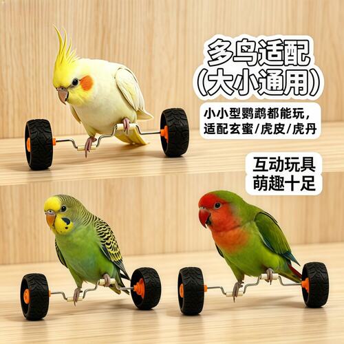 中小型鹦鹉平衡车滑轮训练益智