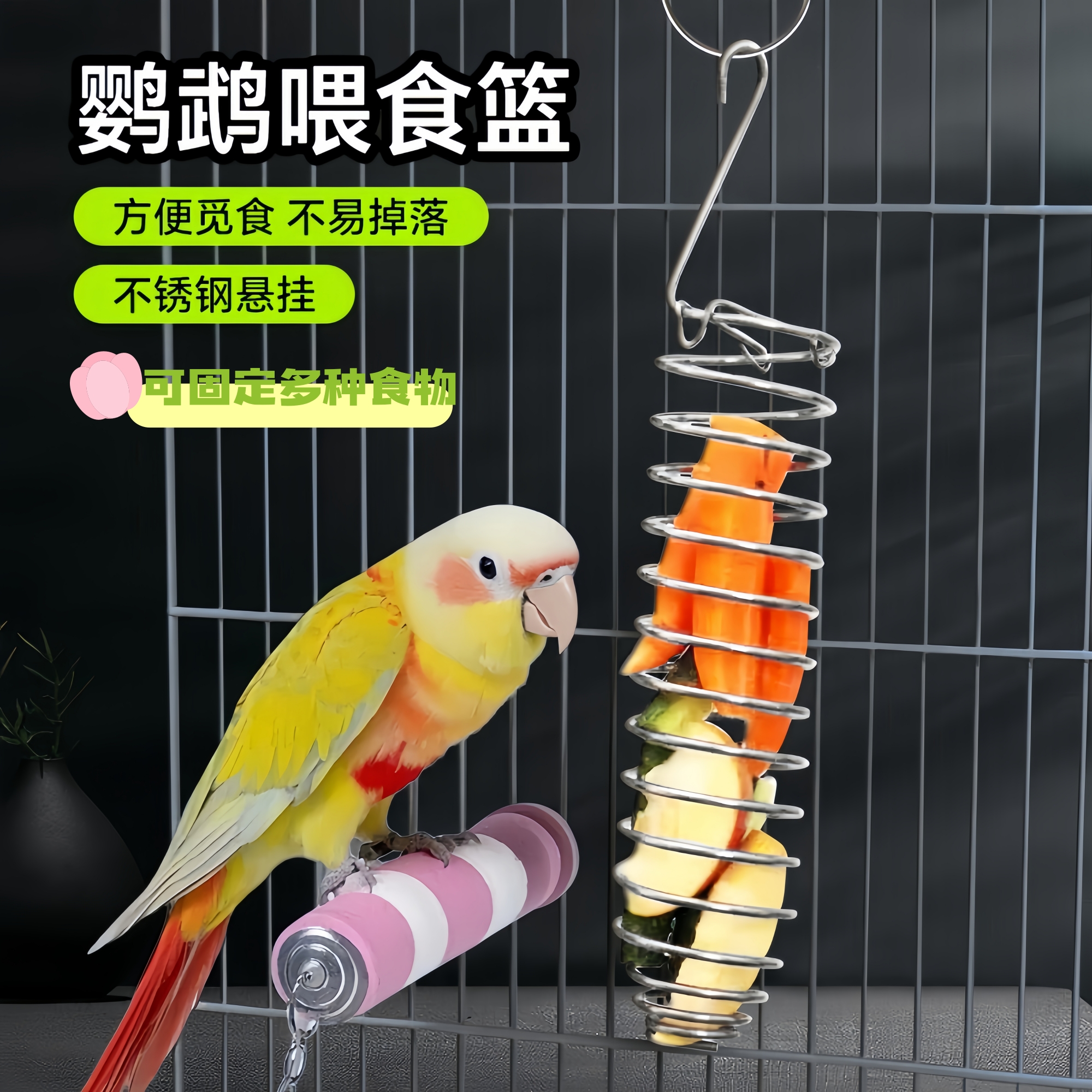 鹦鹉不锈钢水果篮鸟食器