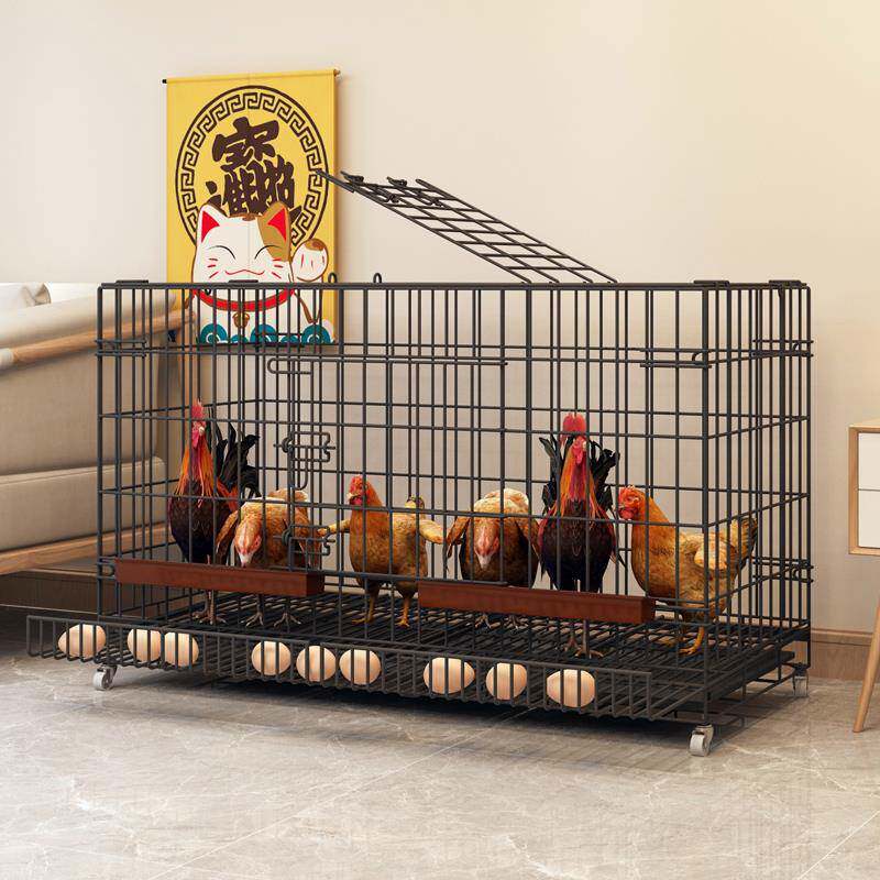 鸡笼子家用养鸡笼大号特大号自动清粪折叠养殖笼鸡舍铁丝网鸭狗笼