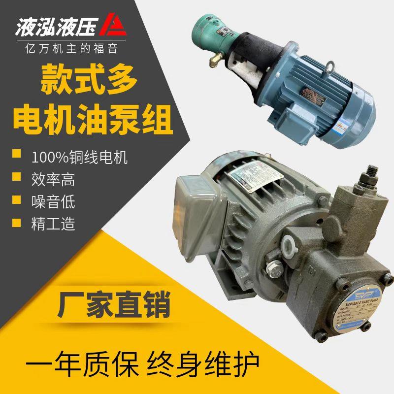 液压油泵电机组液压泵总成内轴电机液压站配件VP20+1.5KW0.75马达图片