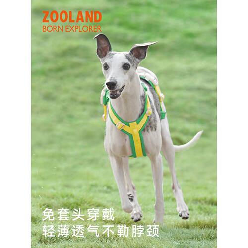 ZOOLAND宠物狗狗牵引绳工字型胸背带防爆冲幼小中大型犬遛狗绳子A