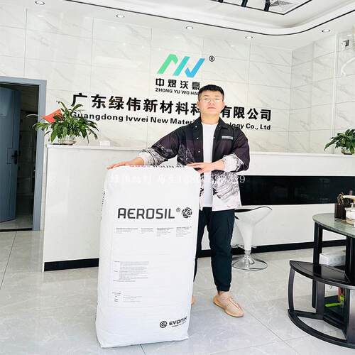 德固赛赢创消光粉TS100 易分散消光性透明度好 降低光泽度 开票