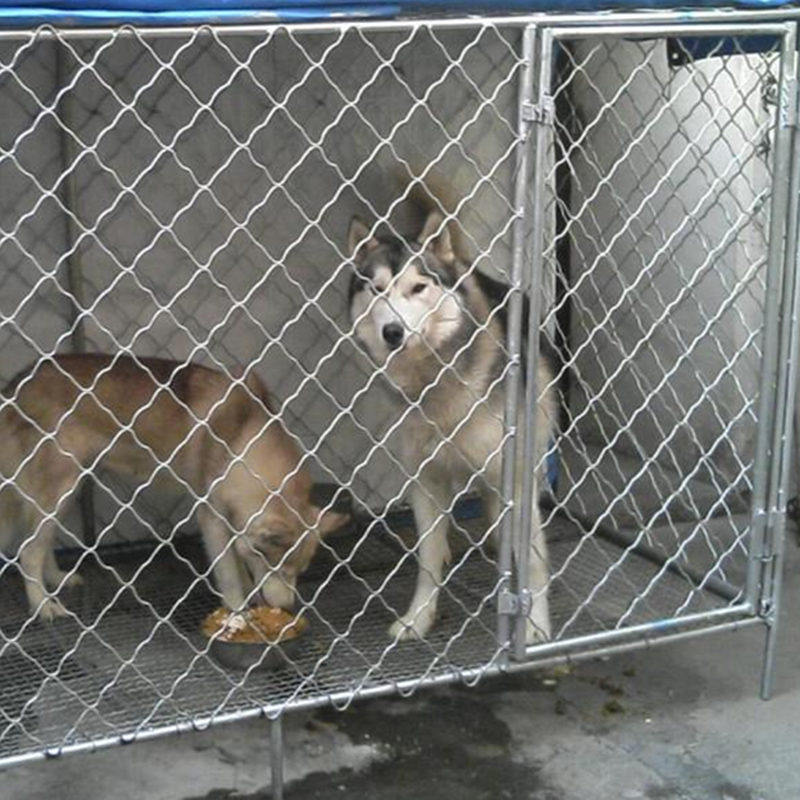 镀锌铁丝网围栏防护美格加粗护栏C网格网片格网养殖铁网钢丝网焊