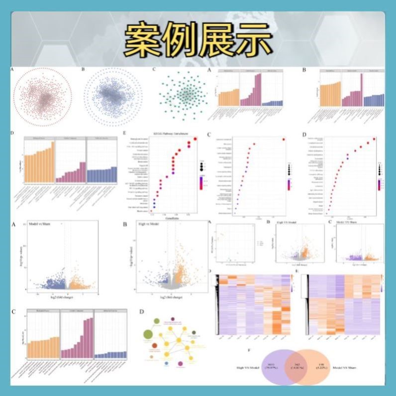 生信分析TCGA GEO数据库网络药理学服务单细胞分析转录组分子对接