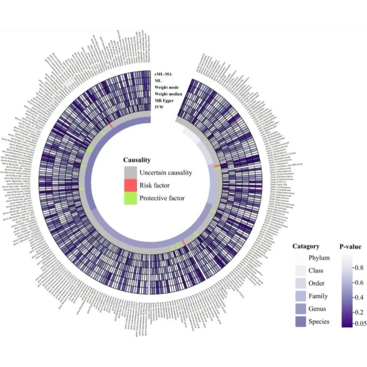 单细胞空间转录组轨迹通路单细胞测序数据分析绘图实操seurat软体