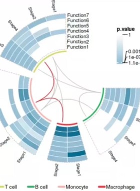 rstudio代做R语言辅导python写代码shiny可视化java编程r机器学习