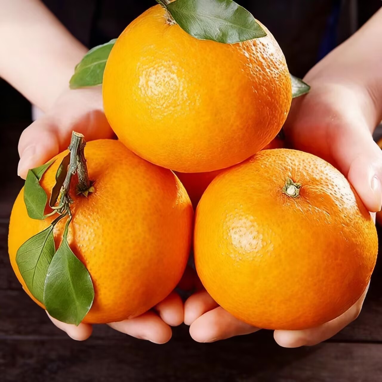 红美人果冻橙爱媛橙子果