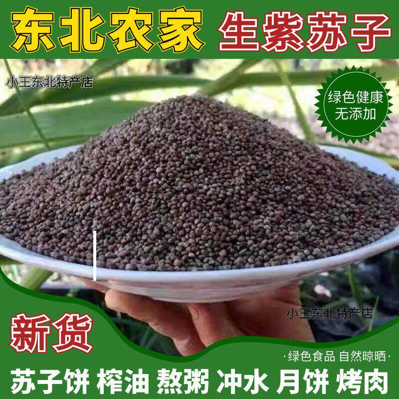 新货东北紫苏子籽饱满烤肉烧烤料月饼馅料榨油特价500g包邮可食用