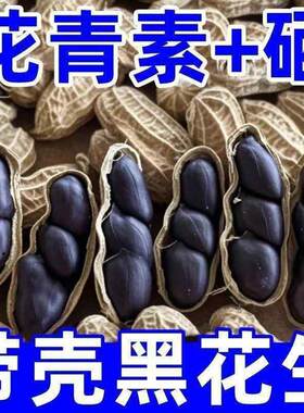 云南富硒黑花生带壳紫衣花生黑衣养胃特色好吃晒干种子新货整箱