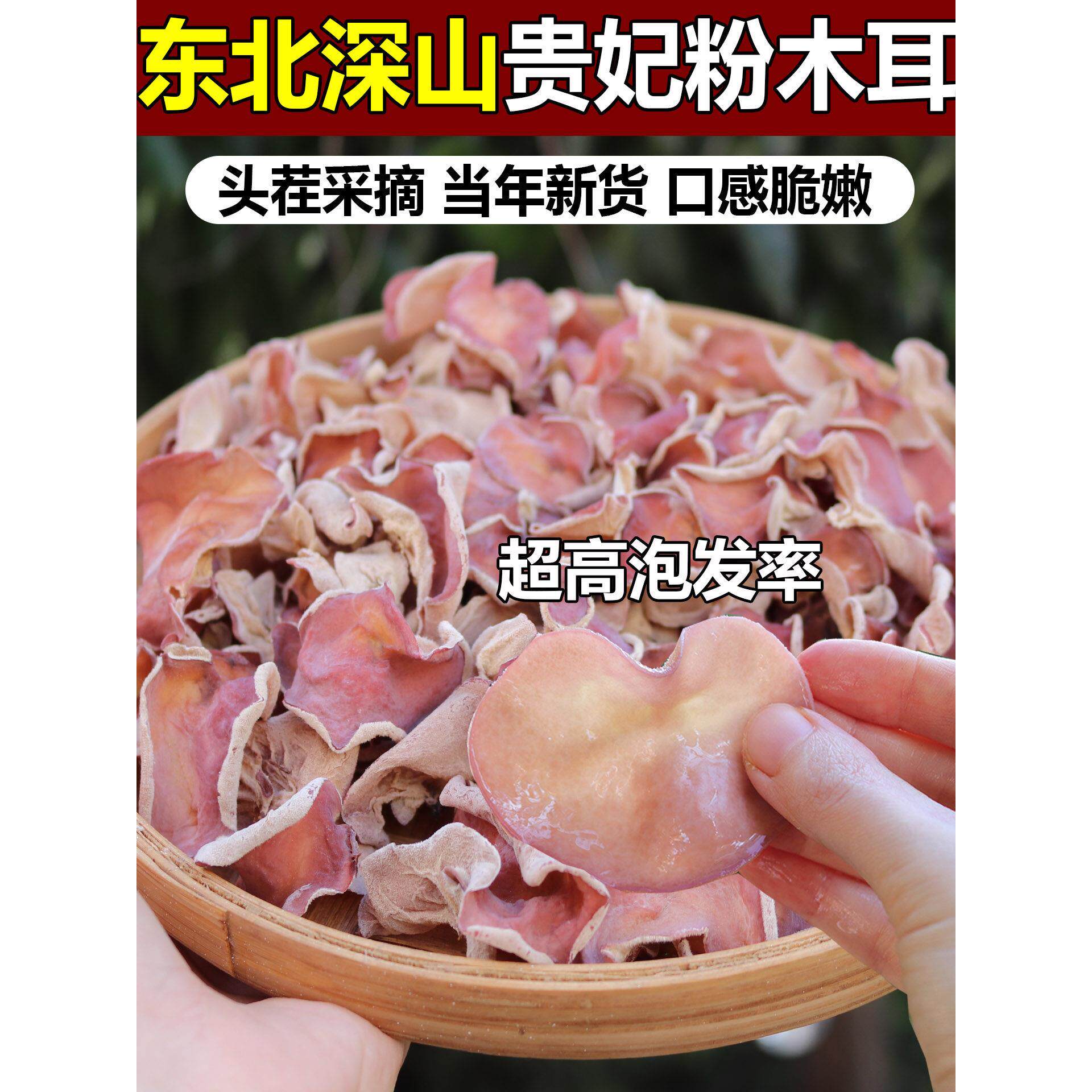 粉木耳干货头茬贵妃木耳无根脆木耳农家晾晒精选无硫特级木耳干货