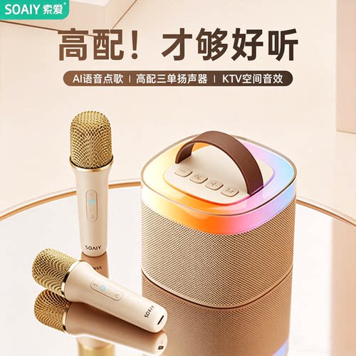 索爱SK2蓝牙音箱家用k歌音响儿童话筒麦克风户外唱歌小型家庭ktv