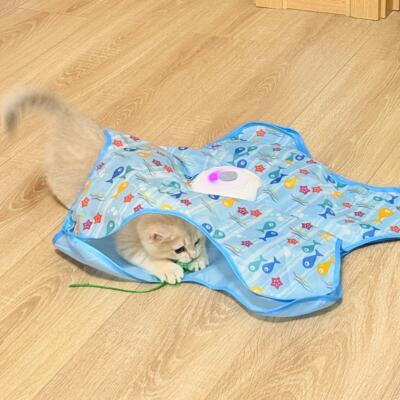 欢乐五角星~五角星猫玩具猫咪玩具自嗨解闷逗猫棒逗猫玩具捕猎.