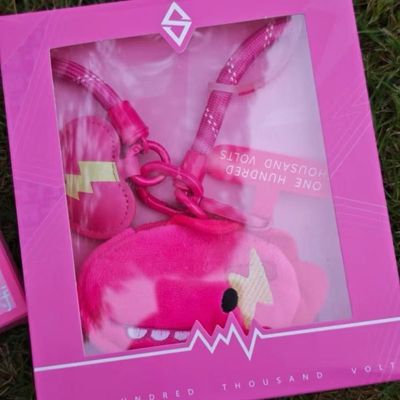 汪苏泷周边巡回演唱会挂件