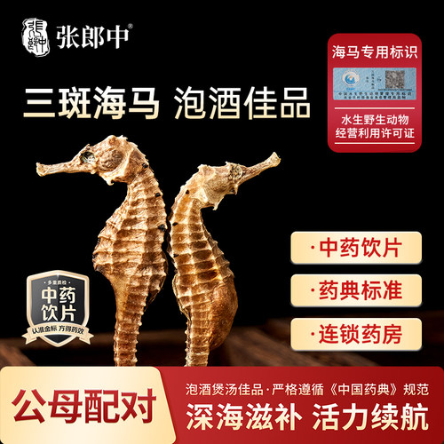 三斑海马公母配对扫码验真正品