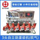 机设备 机半自动液体罐装 富氢水饮料矿泉水白酒红酒小型袋装 灌装