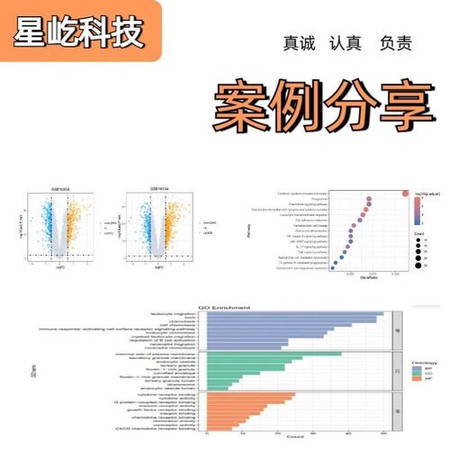 植物生物信息学分析GWAS转录组WGCNA代谢组等