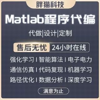 matlab代码帮做程序代编图像处理通信彷真路径规画覆现算法优化