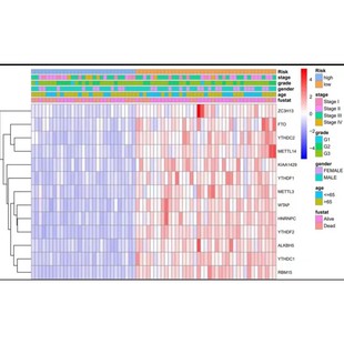 生信分析单细胞测序转录组TCGA GEO数