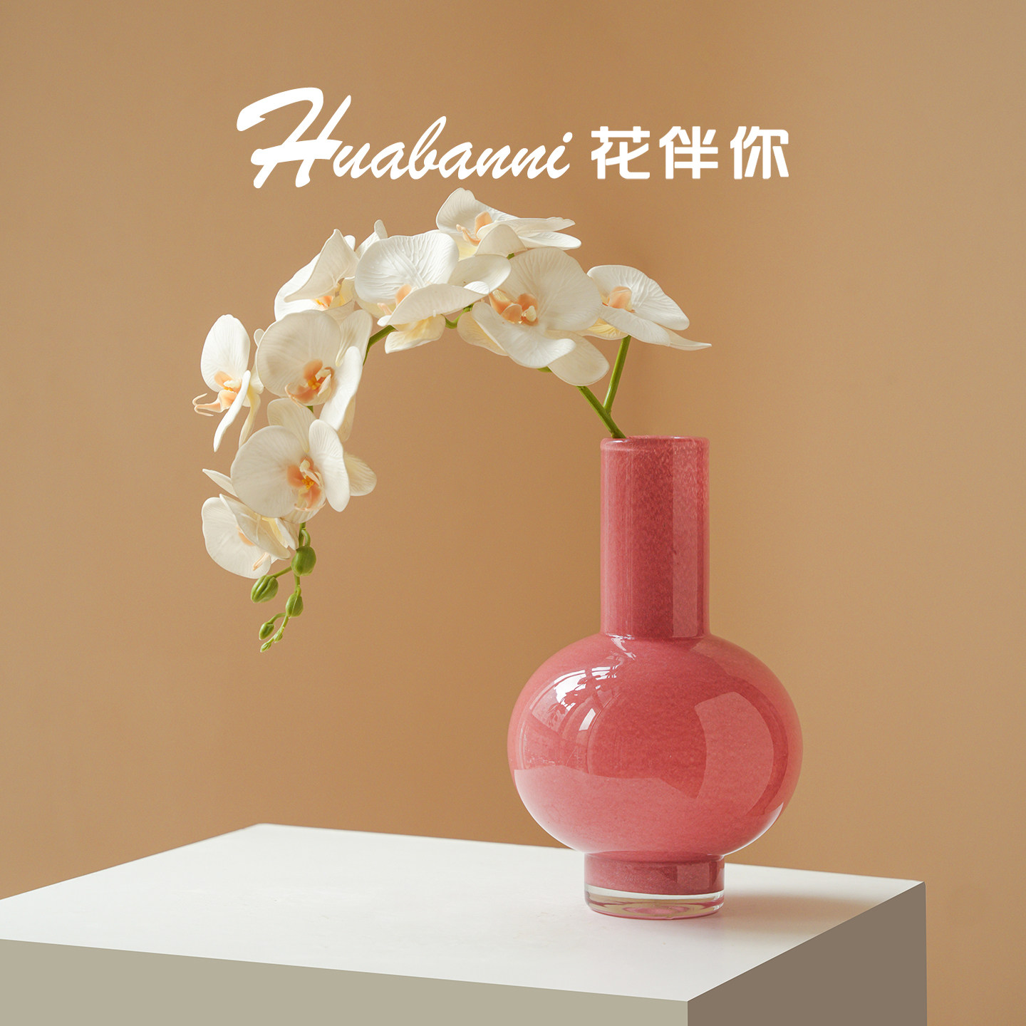 花伴你轻奢粉色玻璃花瓶图片