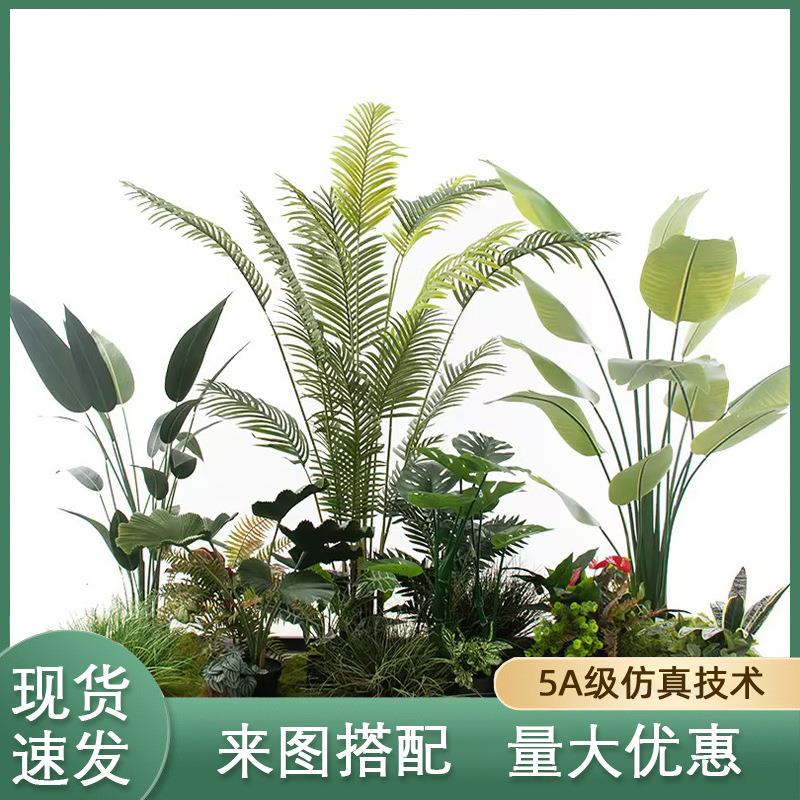 仿真植物天堂鸟旅人蕉服装店装饰假植物吊钟树龟背叶仿真绿植盆栽