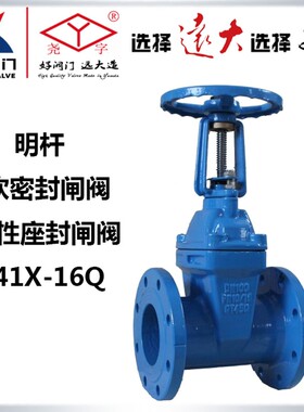 远大阀门Z41X-16Q球墨铸铁弹性座封污水dn150明杆软密封法兰闸阀