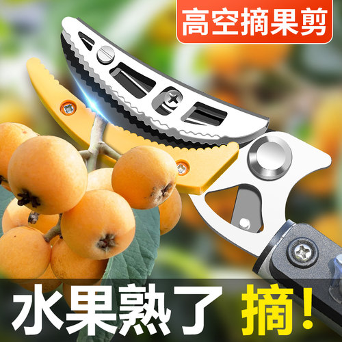 田匠摘水果荔枝龙眼枇杷杨梅加长果树采摘果子神器高枝剪伸缩剪刀