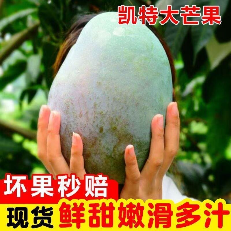 正宗攀枝花凯特芒纯甜芒果香甜大芒果香甜多汁皮薄肉厚孕妇水果甜 多芒实拍商品图