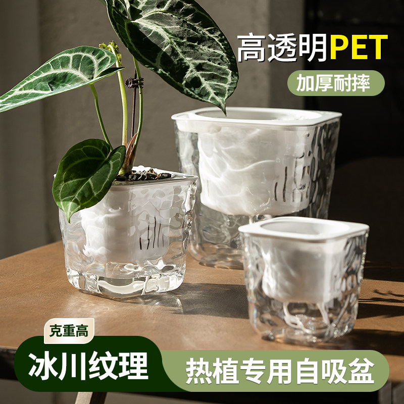 懒人自吸水花盆水培植物器皿绿萝专用线吸吸水盆自动塑料盆栽大号