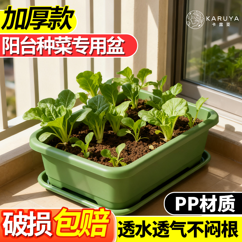 阳台种菜盆加厚长方形塑料盆